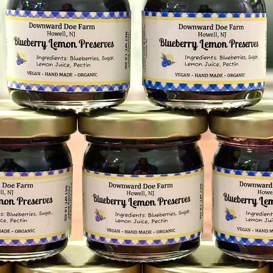 Brie-ish Scones & Fruit Preserves (Limited Edition)